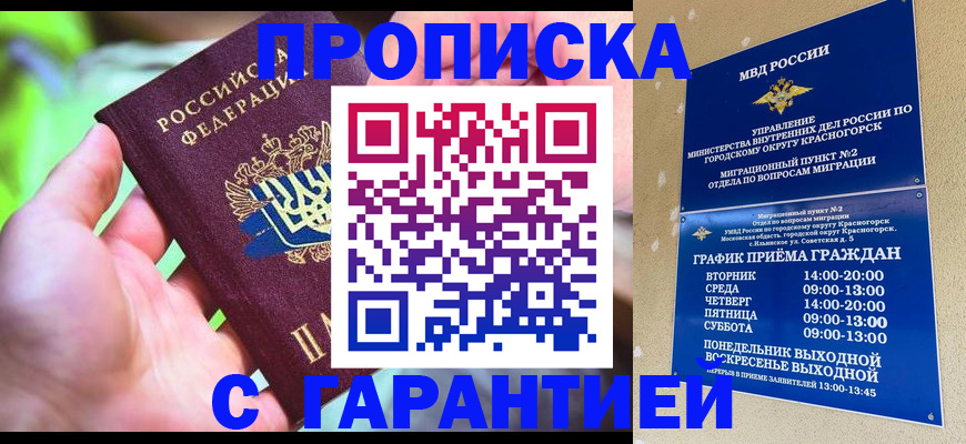 временная регистрация 2025 в Димитровграде